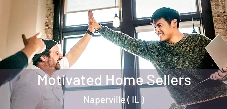 Motivated Home Sellers Naperville ( IL )