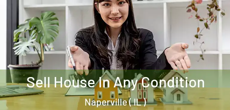  Sell House In Any Condition Naperville ( IL )