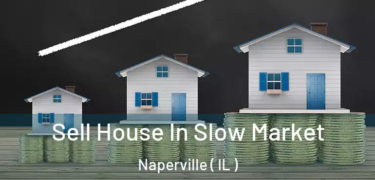  Sell House In Slow Market Naperville ( IL )