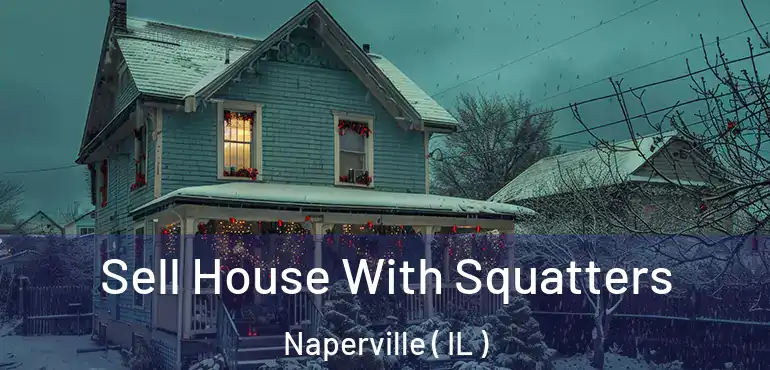  Sell House With Squatters Naperville ( IL )
