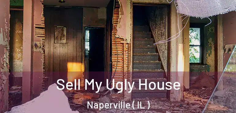  Sell My Ugly House Naperville ( IL )